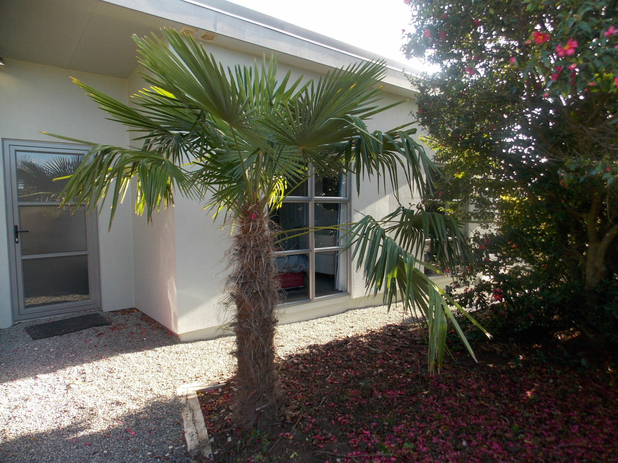 De Vine Martinborough 26 Cologne St Apartment Exterior photo